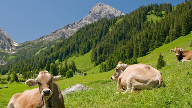Park Allgäu – Familienurlaub am Fusse der Alpen