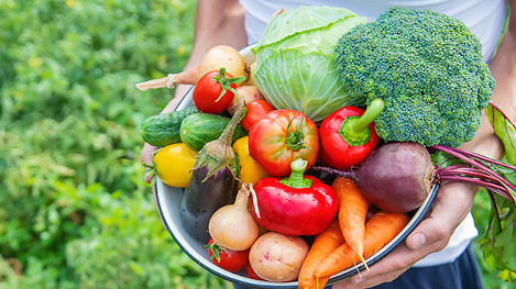 Regionales Obst und Gemüse im Sommer