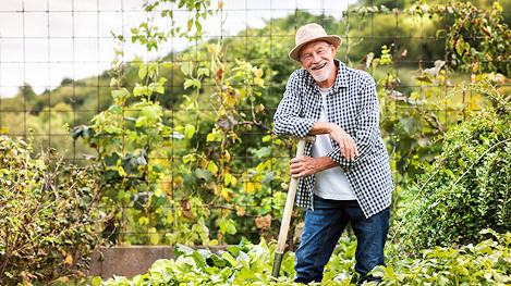 Tipps für gesundes Gärtnern