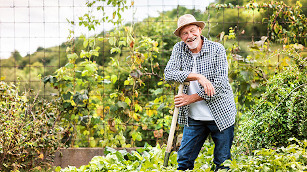 Tipps für gesundes Gärtnern