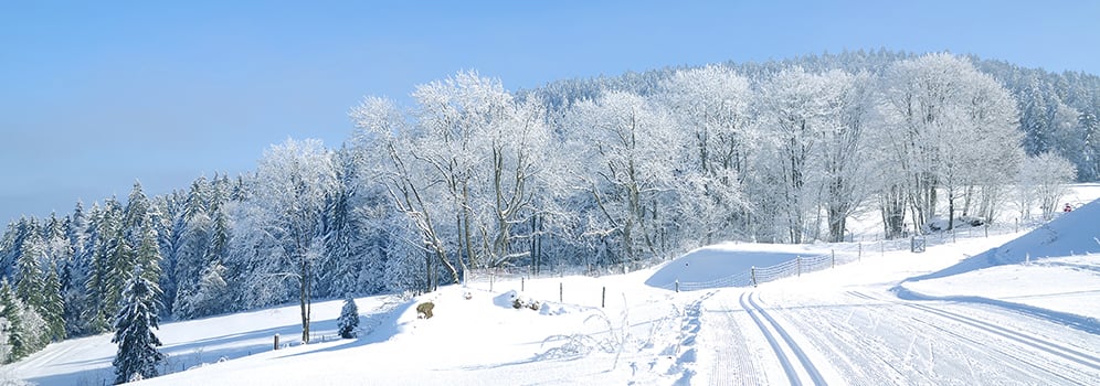 Schneehöhen Sankt Oswald-Riedlhütte