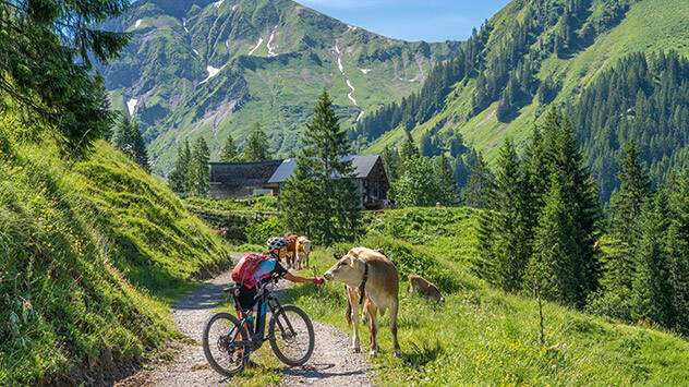 Mountainbiken in Österreich