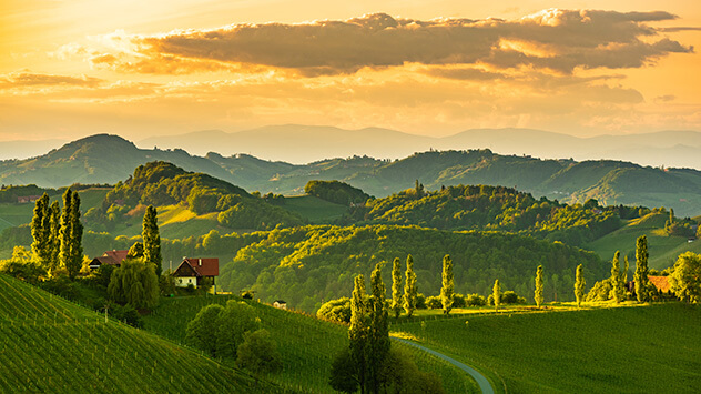 Blick auf die Weinregion Steiermark in Österreich